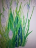 Snowdrops in watercolour 