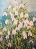 Snowdrops in watercolour 