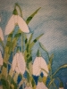 Snowdrops in watercolour 