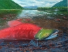 The Last Journey of the Sockeye