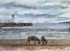 Scarborough - donkeys on the beach