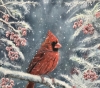 Red Cardinal in winter scene 