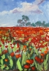 Poppy field. Landscape.