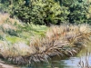 Landscape with a pond and forest.