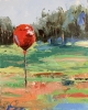 Landscape with red air balloon