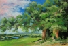 Landscape with a tree.