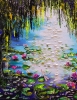 Water lilies 