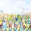 Reed bed in Summer