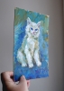 White Kitten on a Blue Background