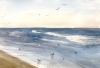 Seagulls by the Shore