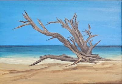 DRIFTWOOD BAY 