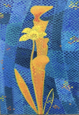 “Blue and yellow”