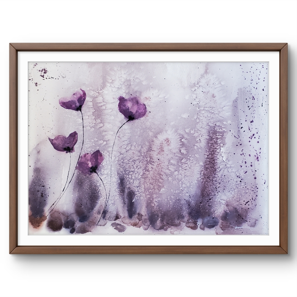 Purple Poppies in the Mist