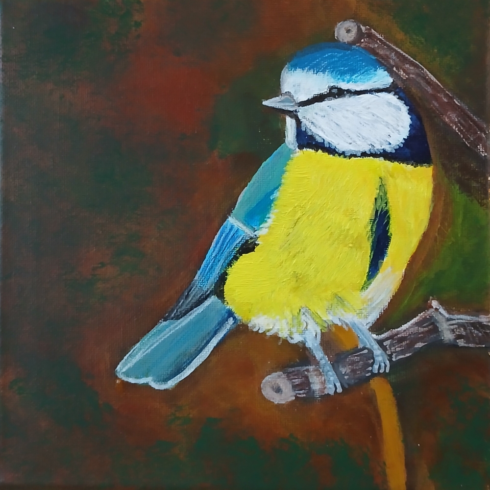 Bluetit