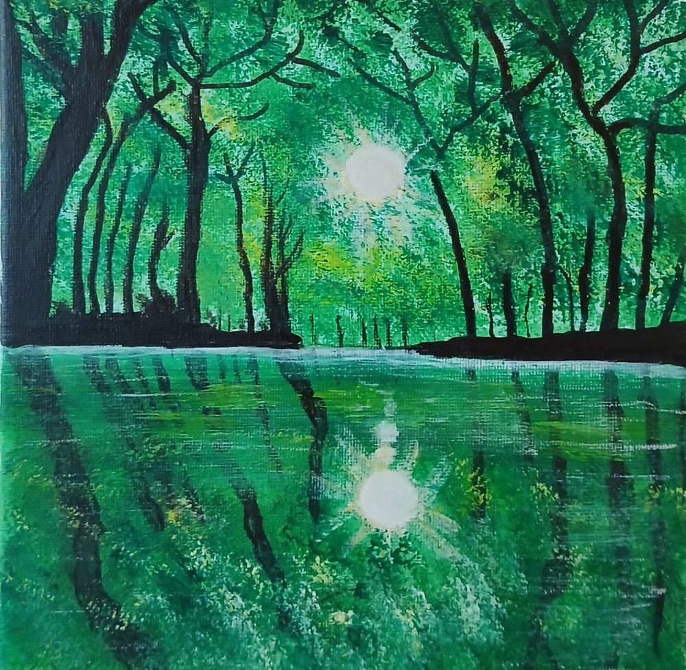 Woodland Reflections