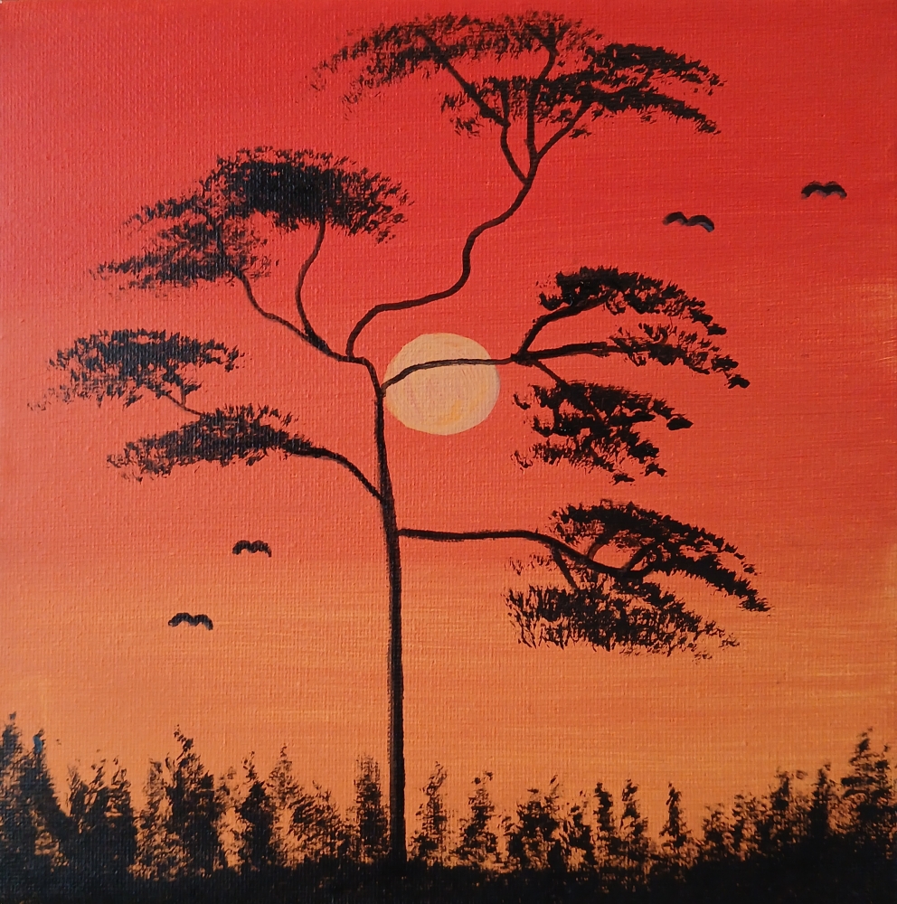 Sunset safari