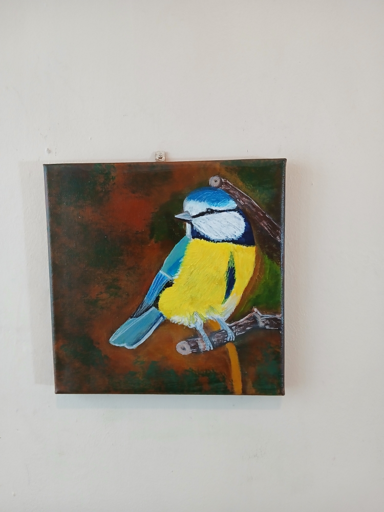 Bluetit