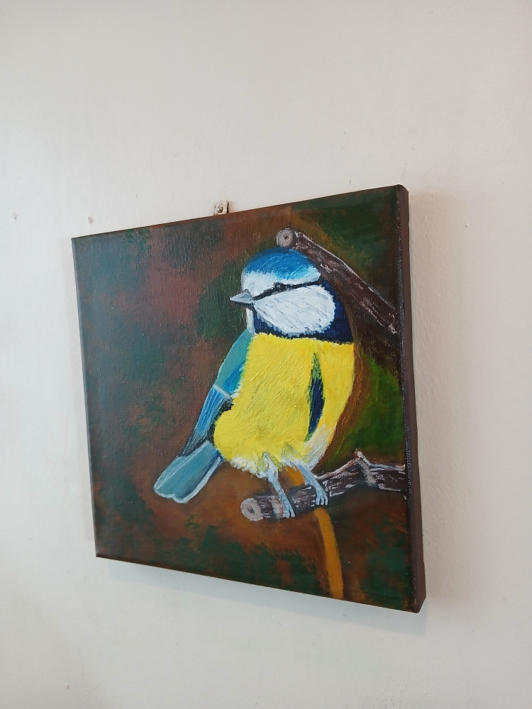 Bluetit