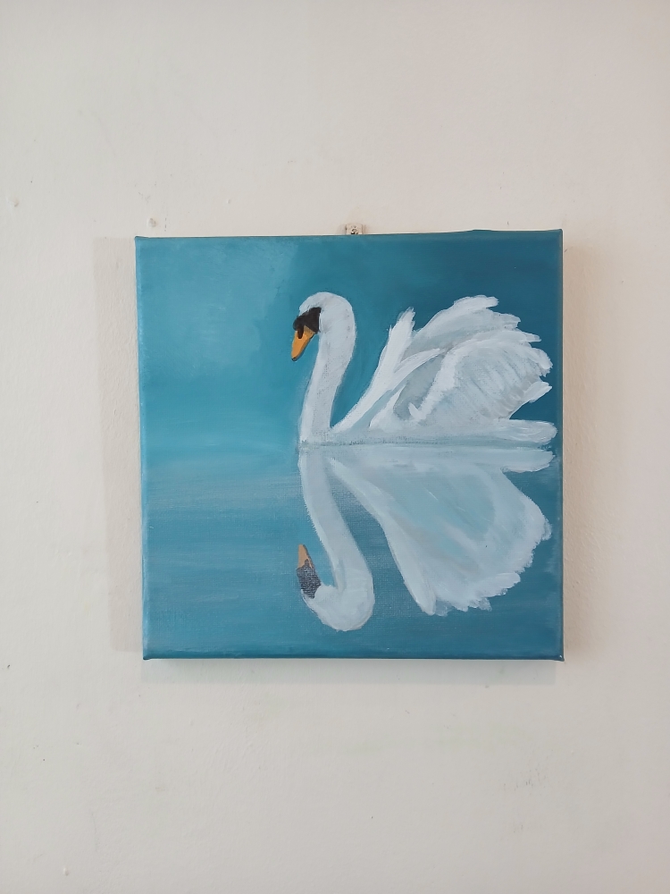Reflective Swan