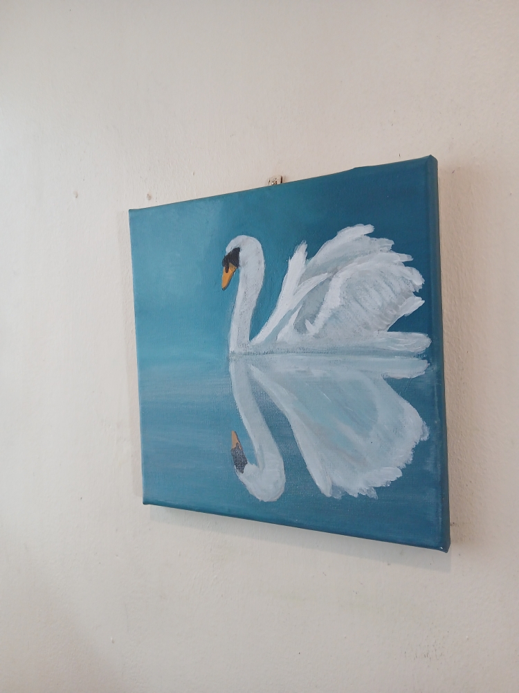 Reflective Swan