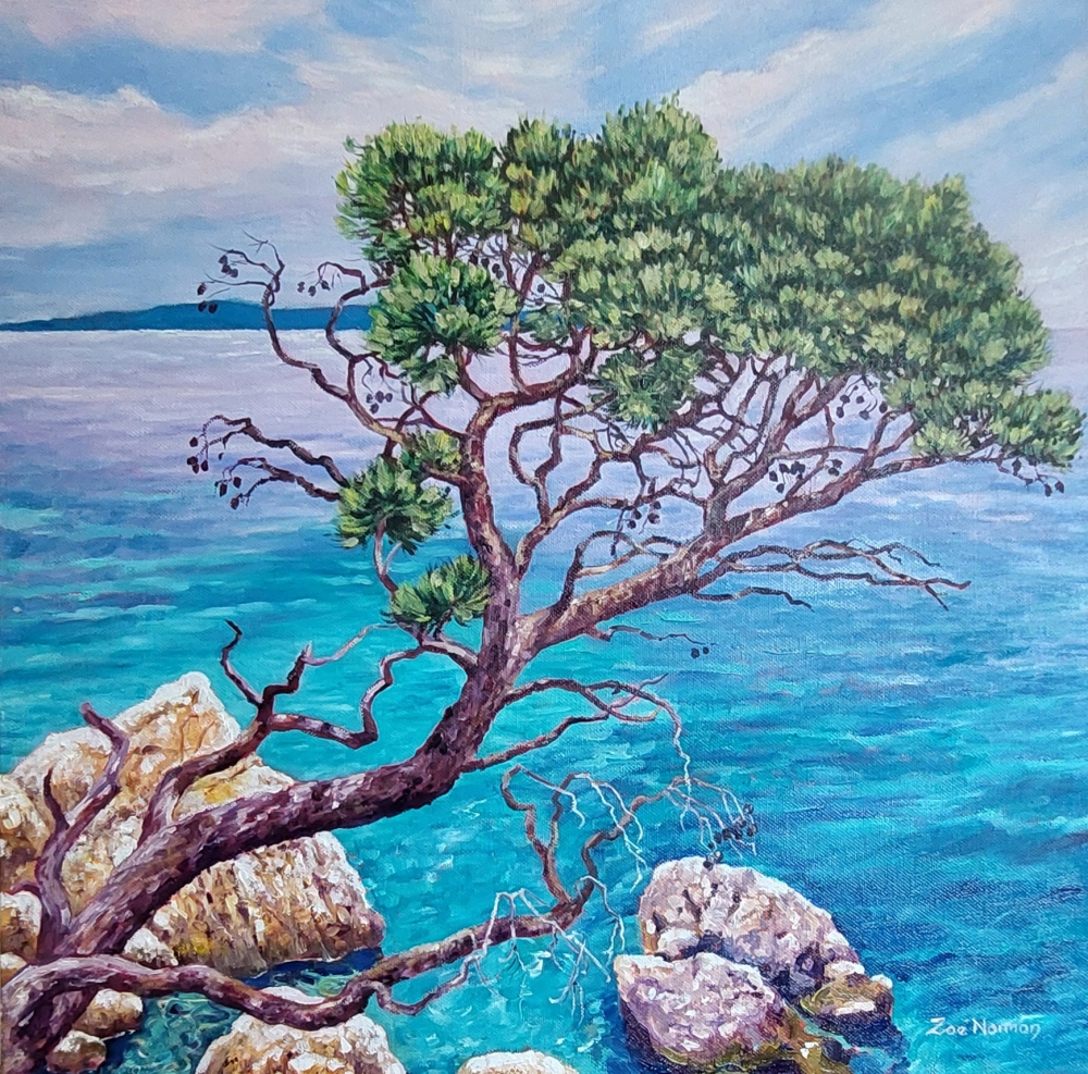 Cypress by the Sea