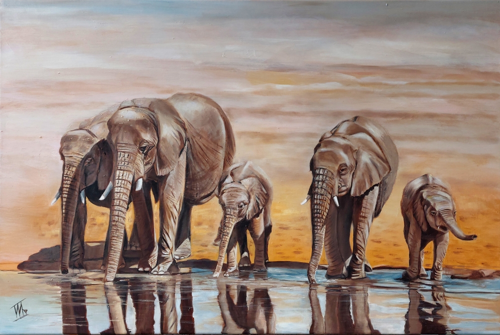 Elephants in the Desert
