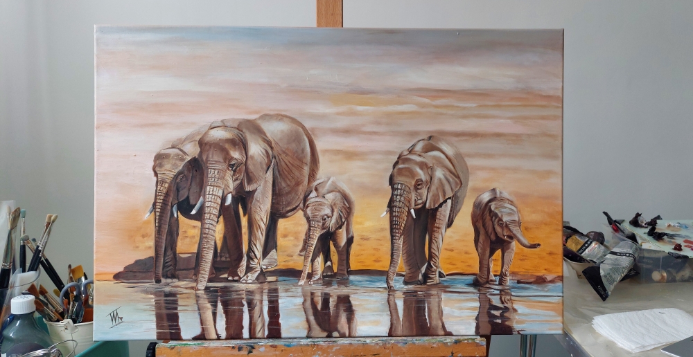 Elephants in the Desert