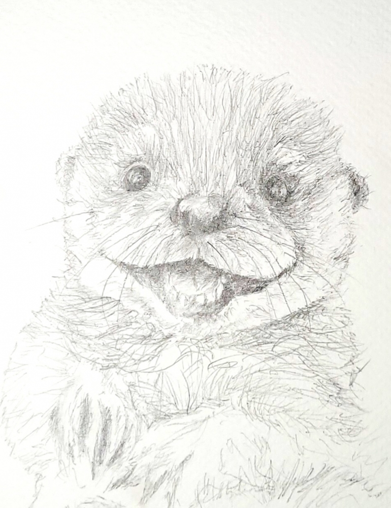 Otter