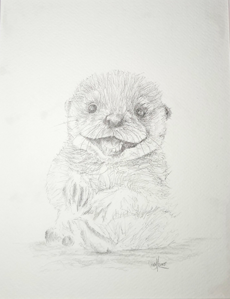 Otter