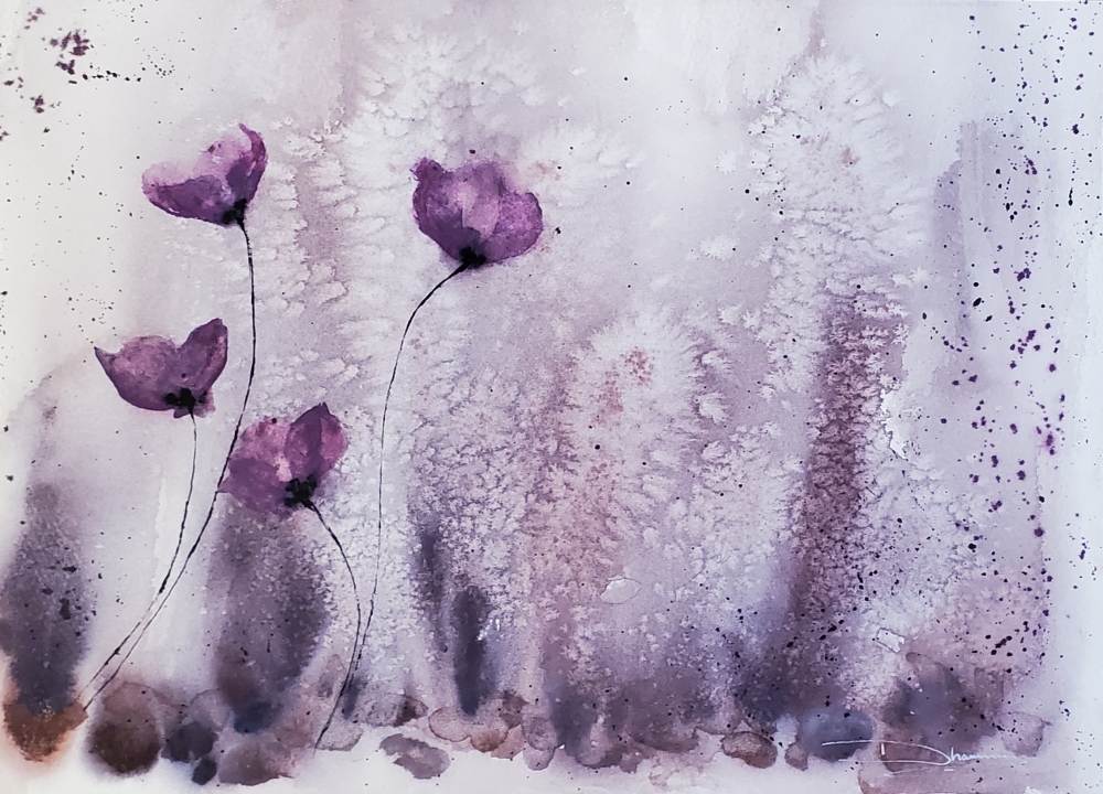 Purple Poppies in the Mist