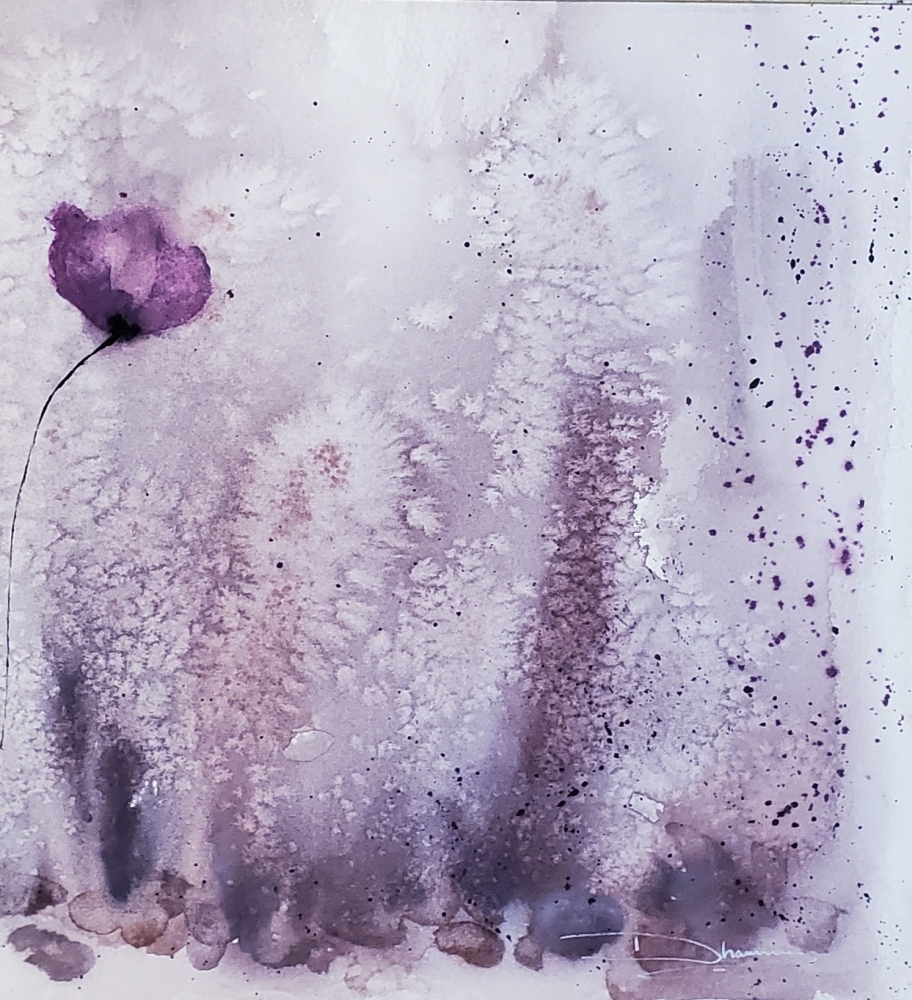 Purple Poppies in the Mist