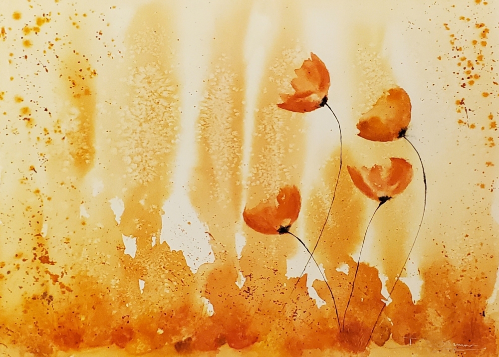 Poppies in the Mist - Amber