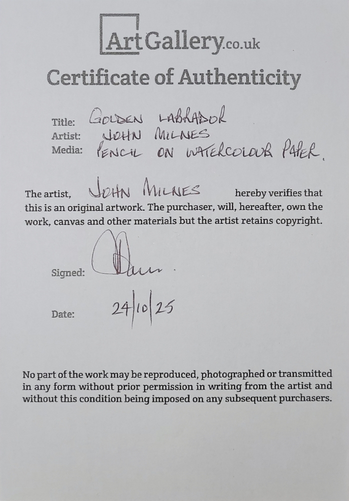 Golden Labrador Retriever