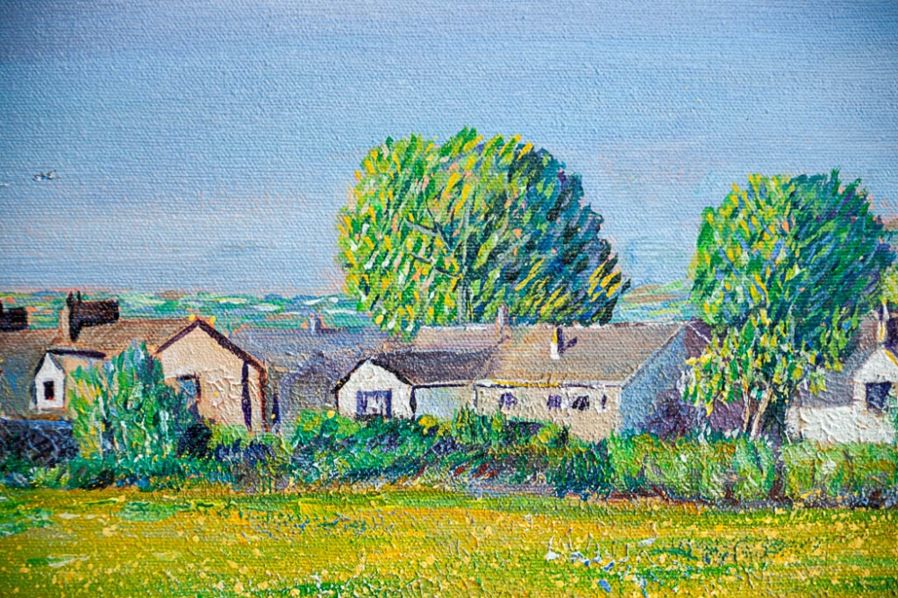 View Over The Buttercups