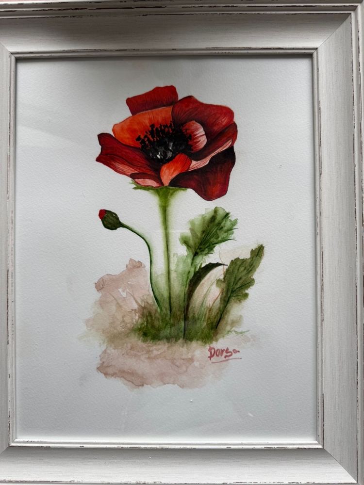 Red Poppy
