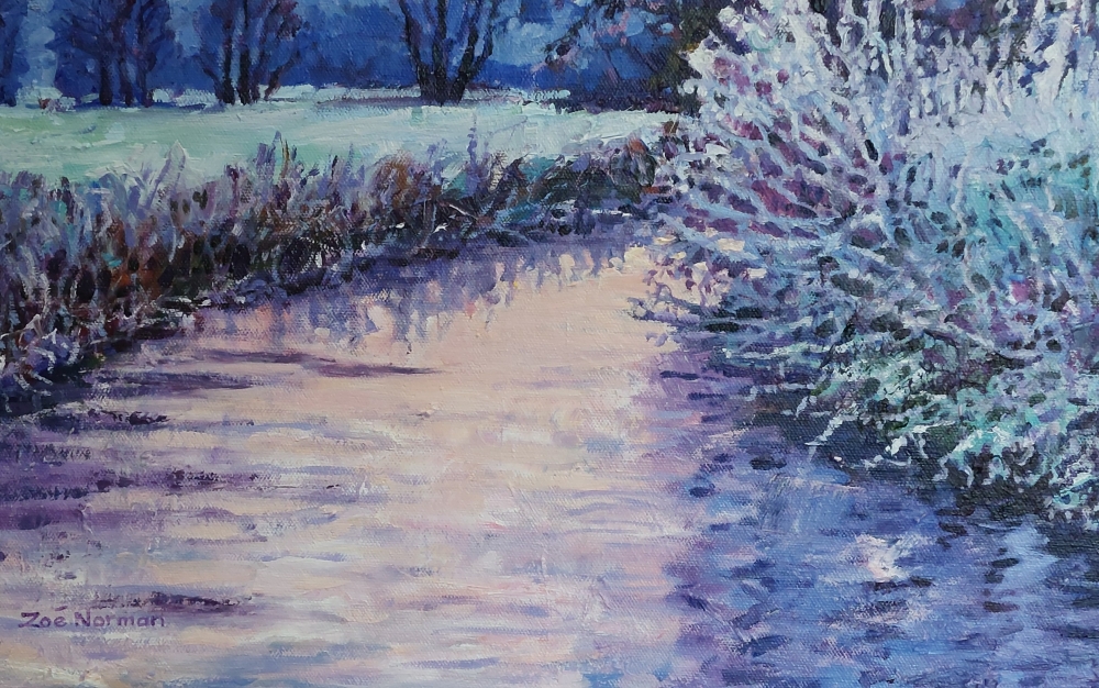Apricot Dawn