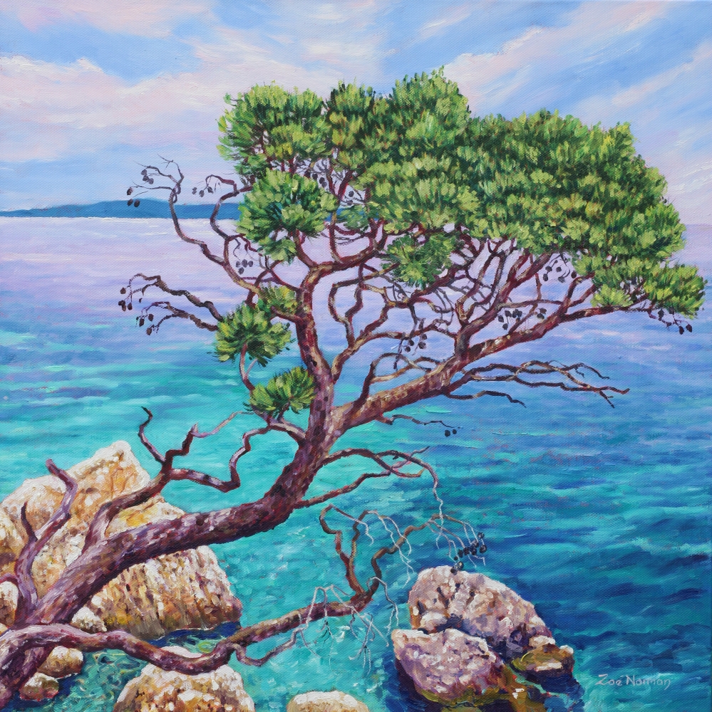 Cypress by the Sea