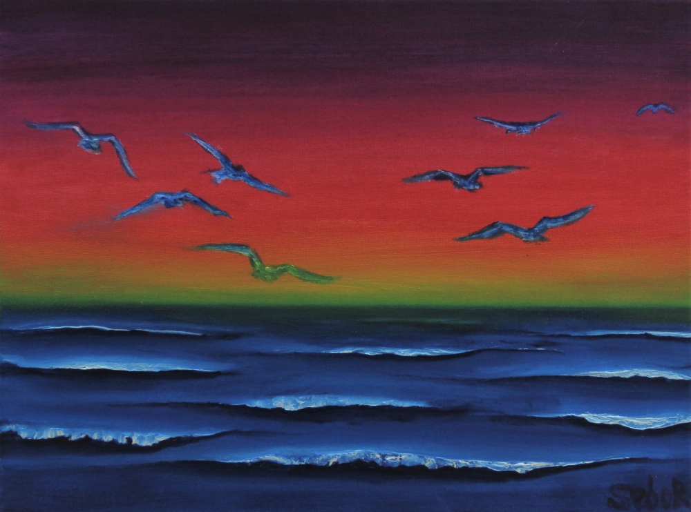 Gulls 