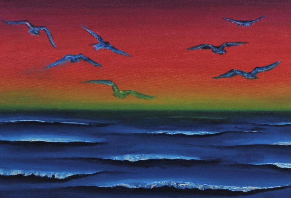 Gulls 