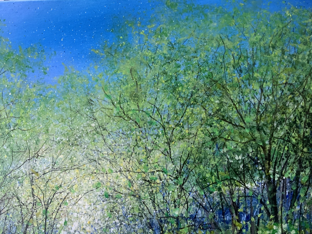 Misty Bluebells 