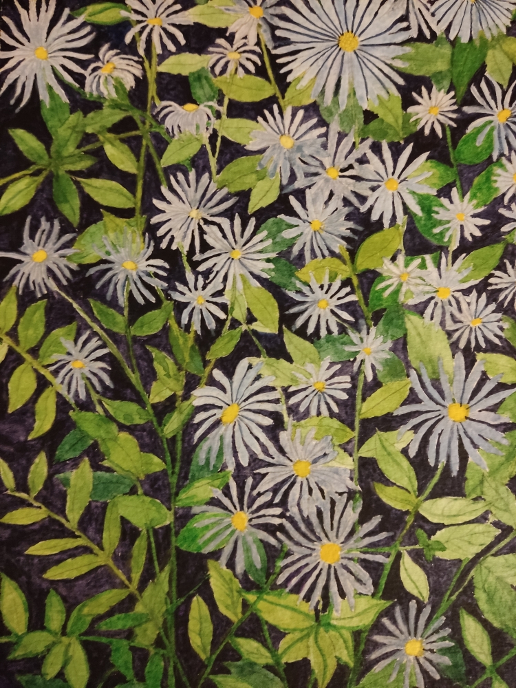 Purple Daisies watercolour painting 