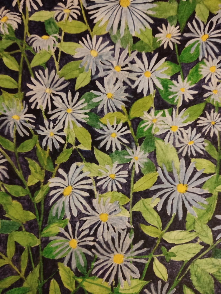 Purple Daisies watercolour painting 