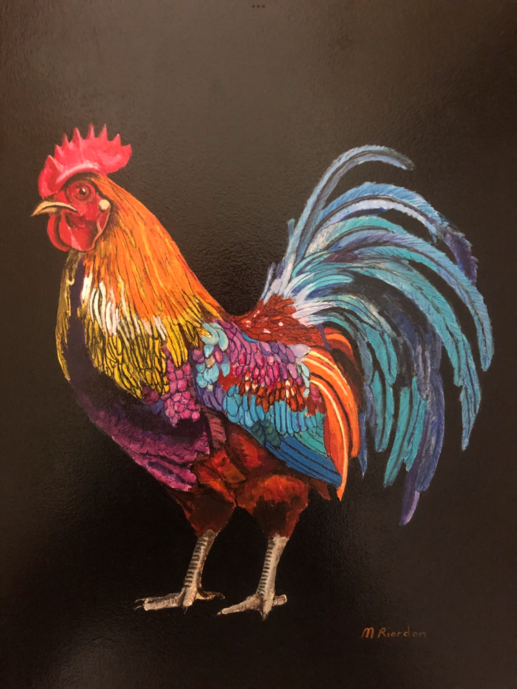 Cockerel