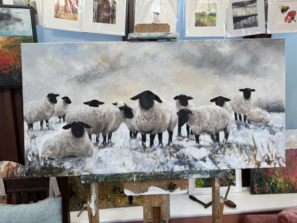 Black Face Suffolk Sheep in Snow