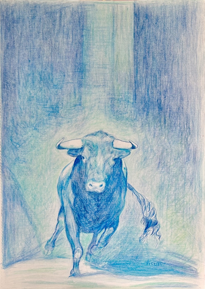 The Bull