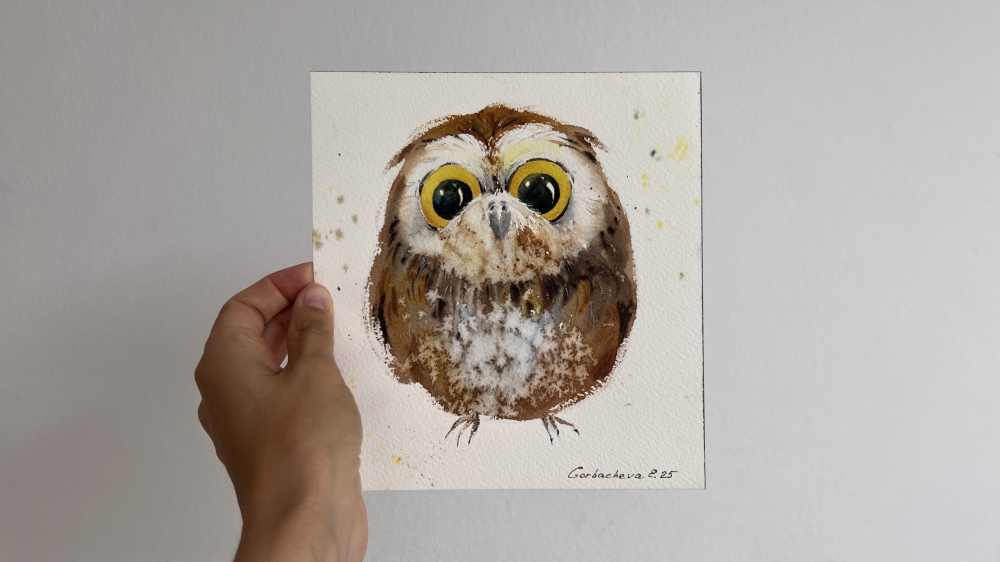 Charming owlet