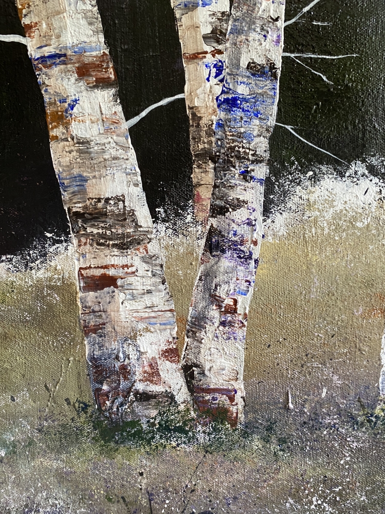 Silver Birch