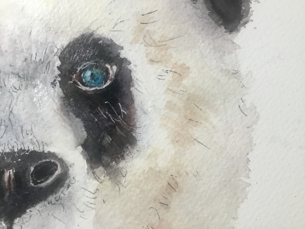 Gentle Eyes of the Panda – Original Watercolor Portrait