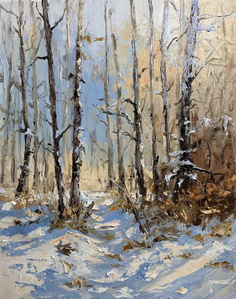 Winter light in the birchwoods.