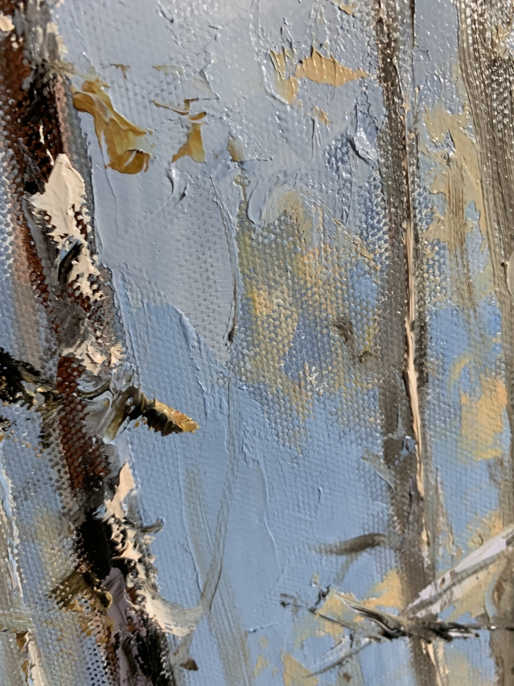 Winter light in the birchwoods.